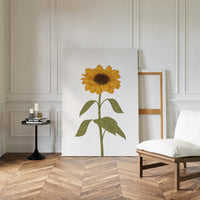 Golden Petals Follow Morning Light