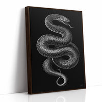Midnight Scales In Silver Light