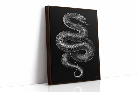 Midnight Scales In Silver Light