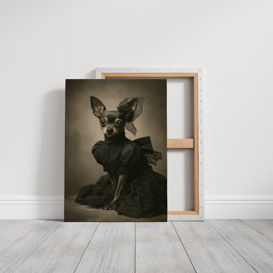 Lady of the Regal Chihuahua