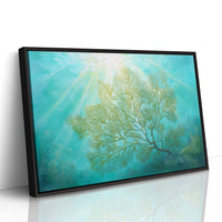 Sunbeams Illuminate Coral Branches