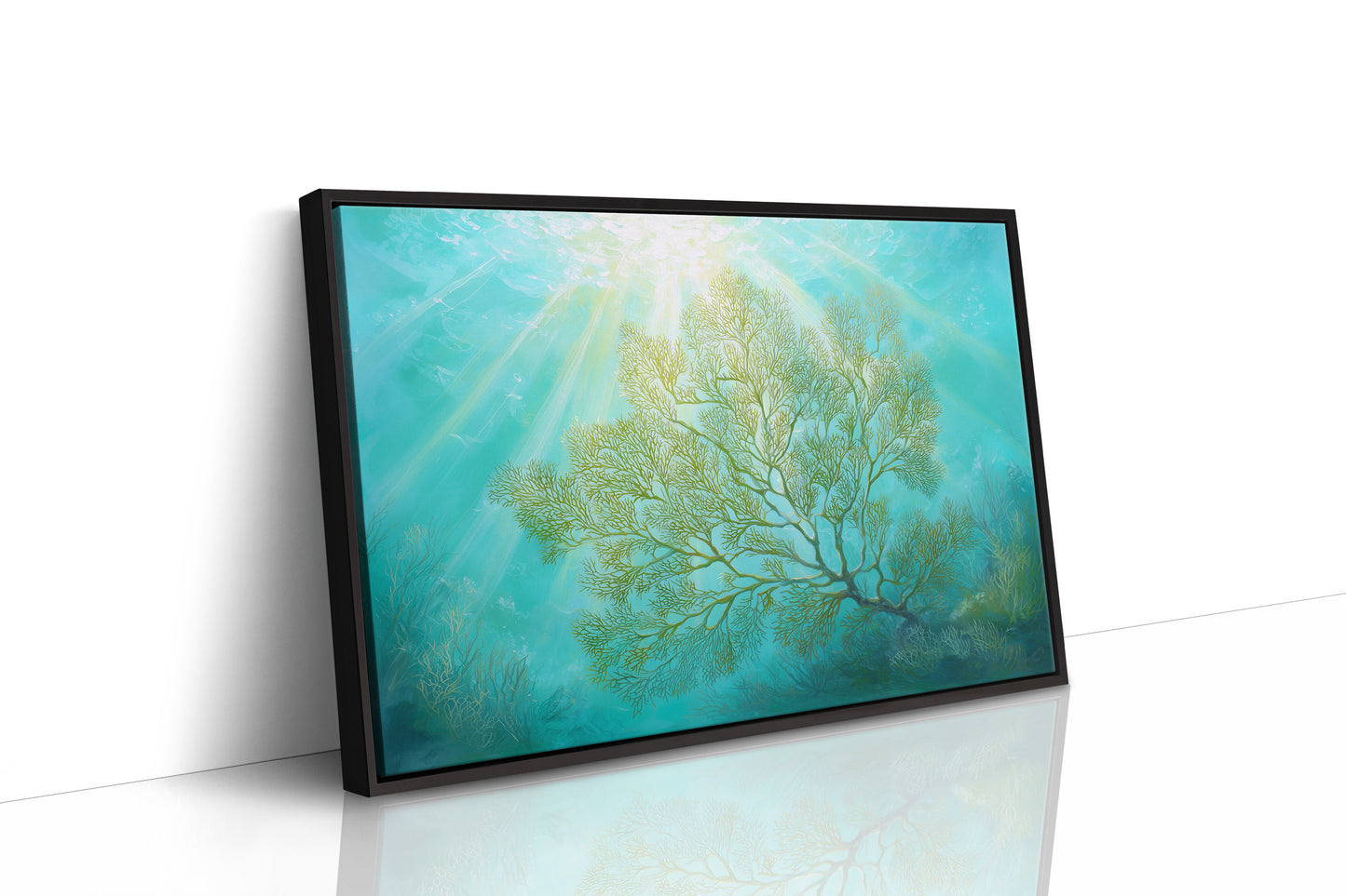 Sunbeams Illuminate Coral Branches