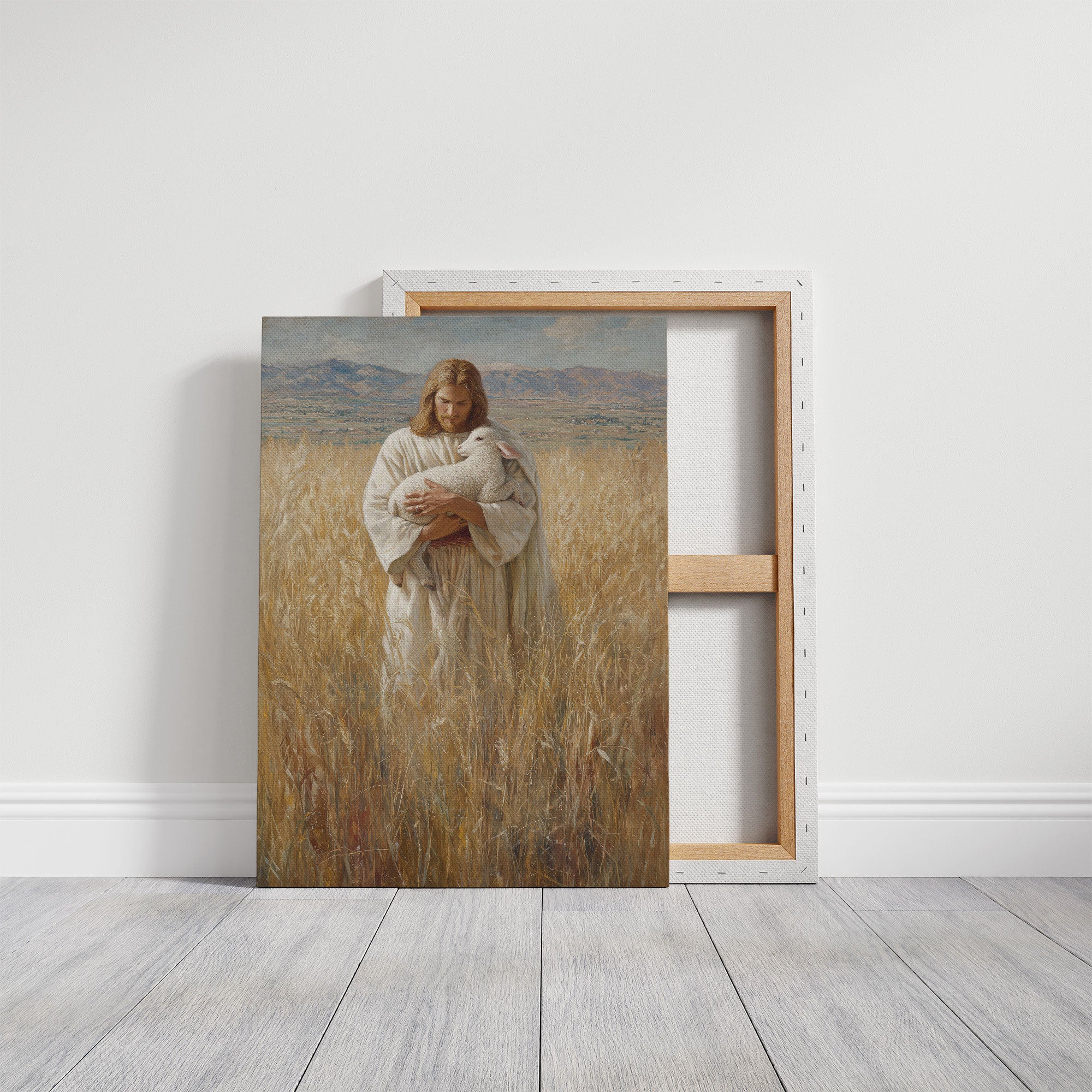 Gentle Light Through Winter Fields