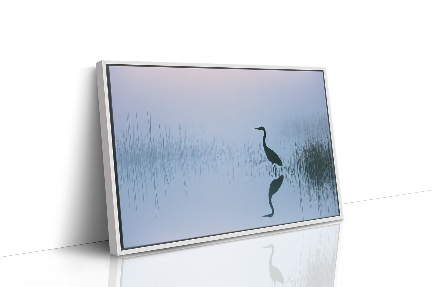 Stillness Before the Heron
