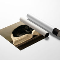 The Thickest Book Makes the Best Bed