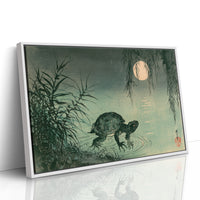 Turtle Beneath the Willow Moon