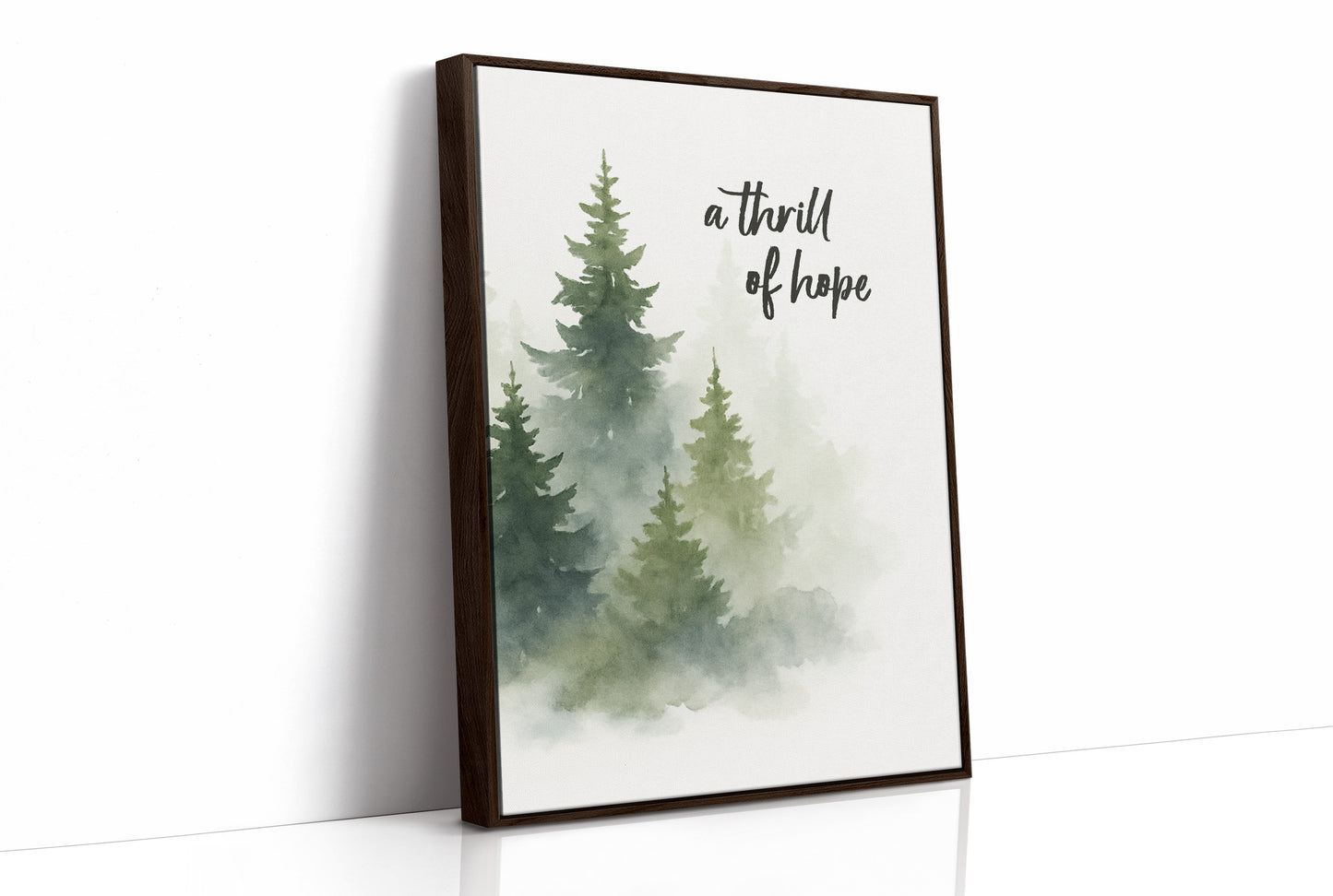 Evergreens Carry Quiet Promises