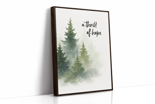 Evergreens Carry Quiet Promises