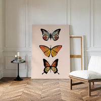 Three Wings Tell Summer Stories