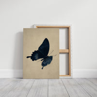 Ink-Stained Wings of Time