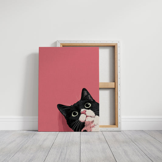 Curiosity Adorns Every Pounce