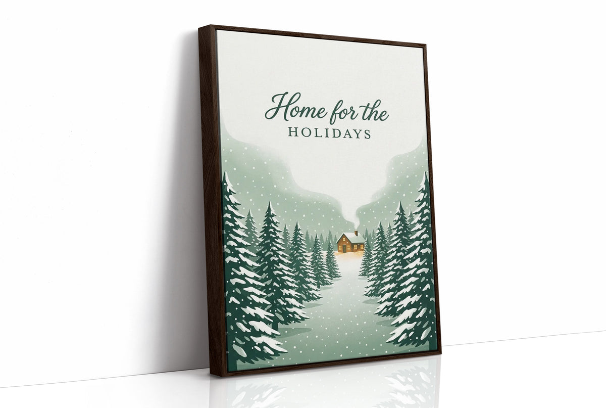 Home for the Holidays: Driveway Not Shoveled