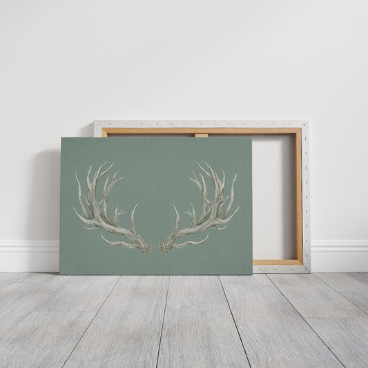 Winter Antlers Paint Sage Stories