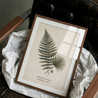 Vintage Herbarium