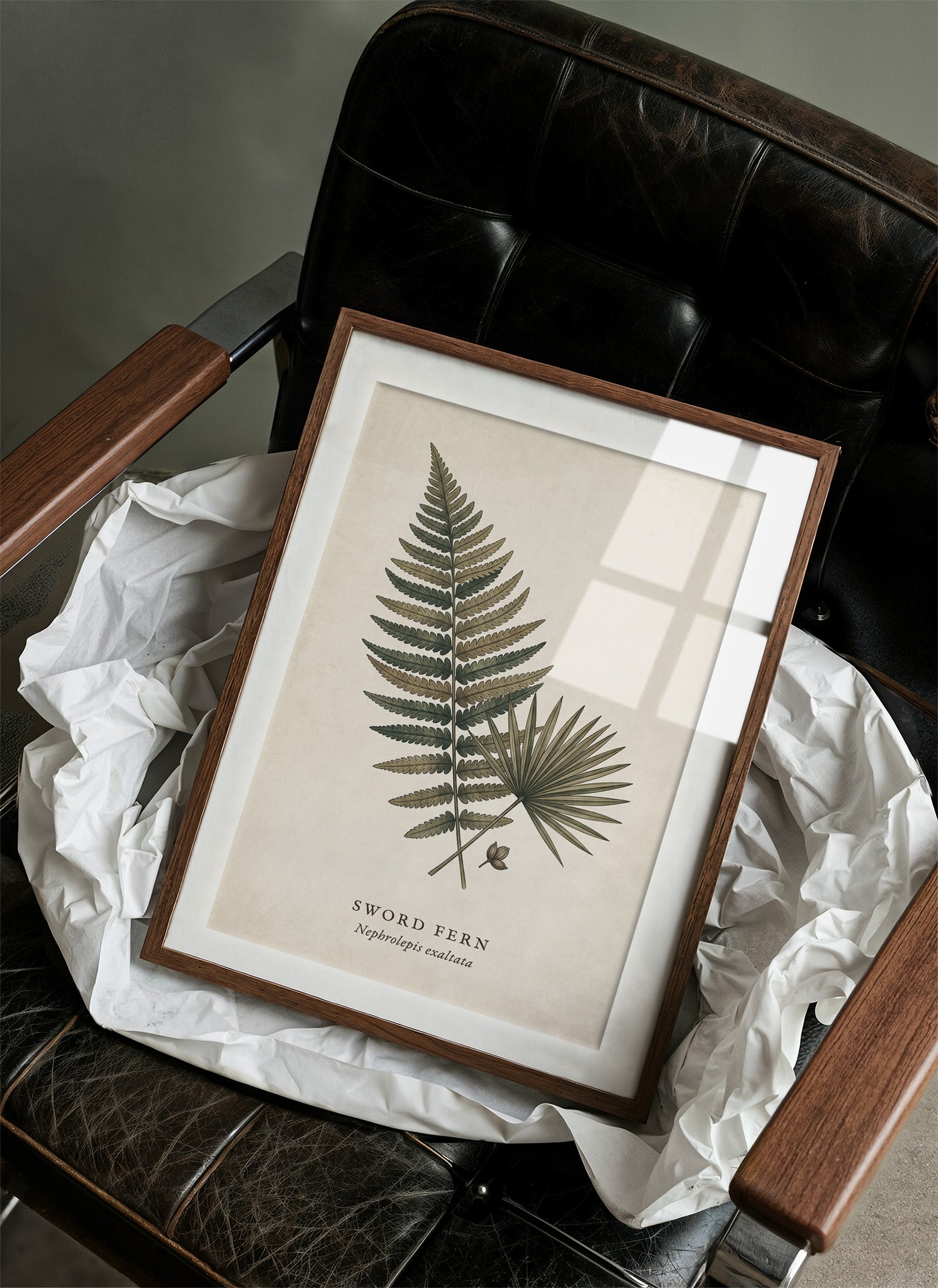 Vintage Herbarium