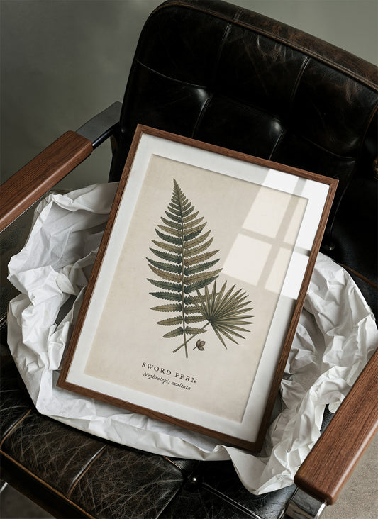 Vintage Herbarium