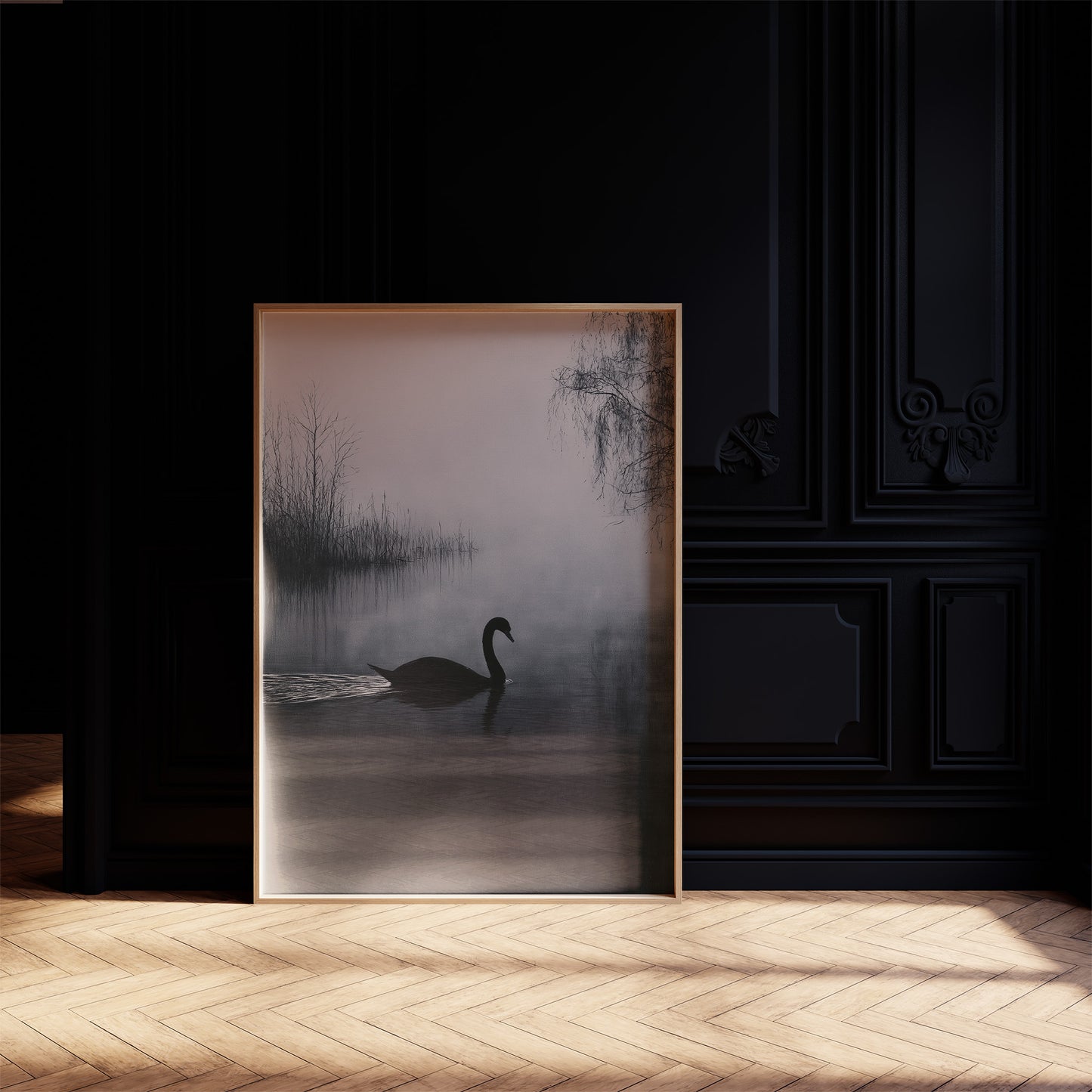 Black Swan on Silent Water