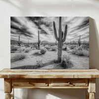 Saguaro Silence in Black and White