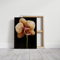 Orchid Stem in the Dark
