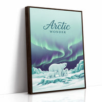 Arctic Wonder: Light Show, Front Row