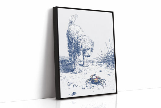 Coastal Curiosity Meets Shoreline Explorer