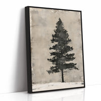 Weathered Pine, Aged Canvas