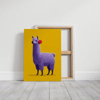 Purple Llama, Pom Pom Attitude