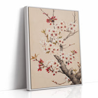 Cherry Blossoms Paint Spring's Promise