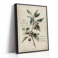 Olive Branch Carries Sacred Wisdom