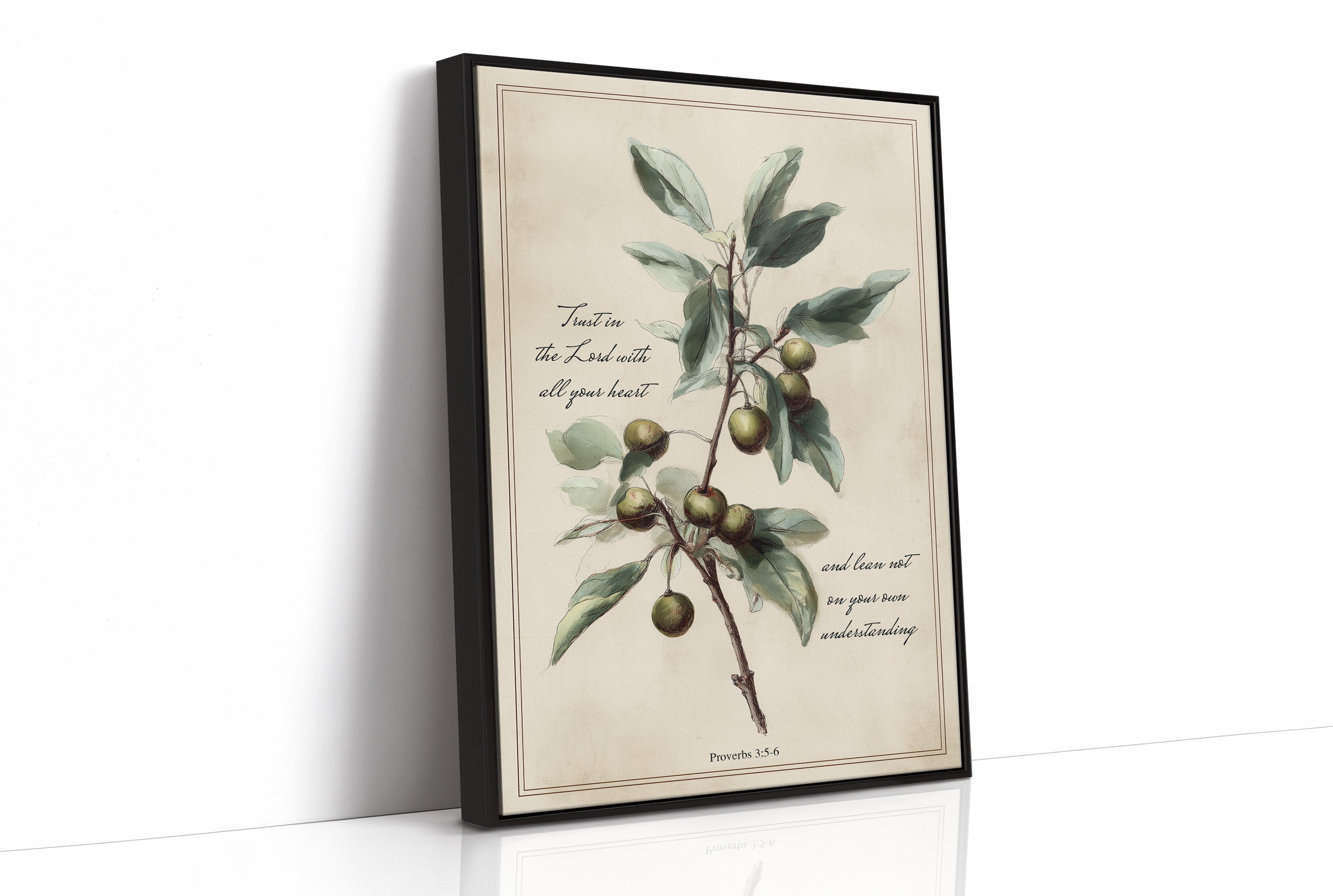 Olive Branch Carries Sacred Wisdom