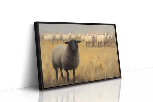 Black Sheep Leads Golden Meadow