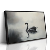 Black Swan Glides Through Morning Fog