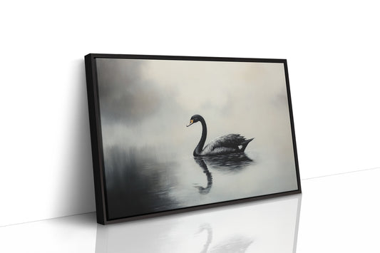 Black Swan Glides Through Morning Fog