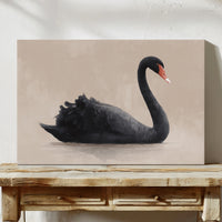 Black Swan Glides Through Blush Dawn