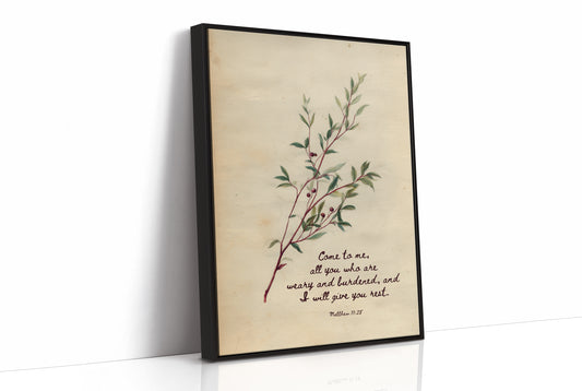Olive Branch Upon Sacred Words