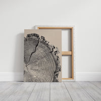 Cross-Section of Time