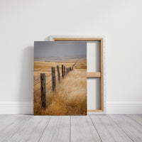 Fences That Tell Forgotten Tales
