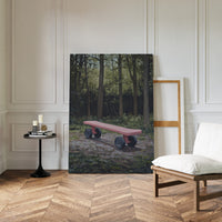 Pink Bench Waits In Forest Shade