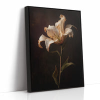 Solitary Bloom Against Midnight Depths