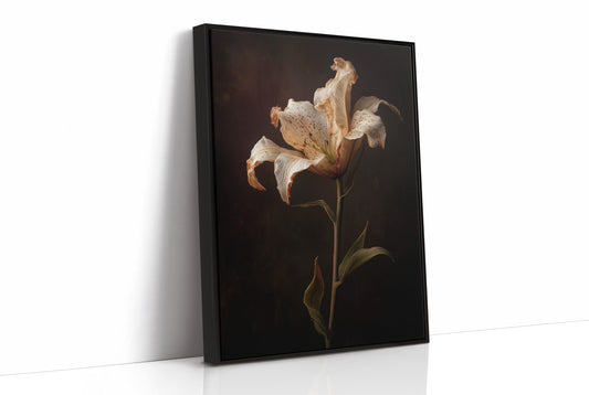 Solitary Bloom Against Midnight Depths