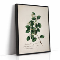 Botanical Faith On Wooden Table