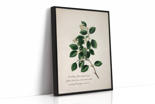 Botanical Faith On Wooden Table