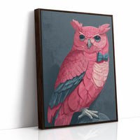 Pink Owl, Dapper in Blue