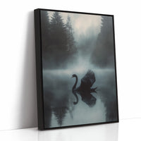 Black Swan in Morning Fog
