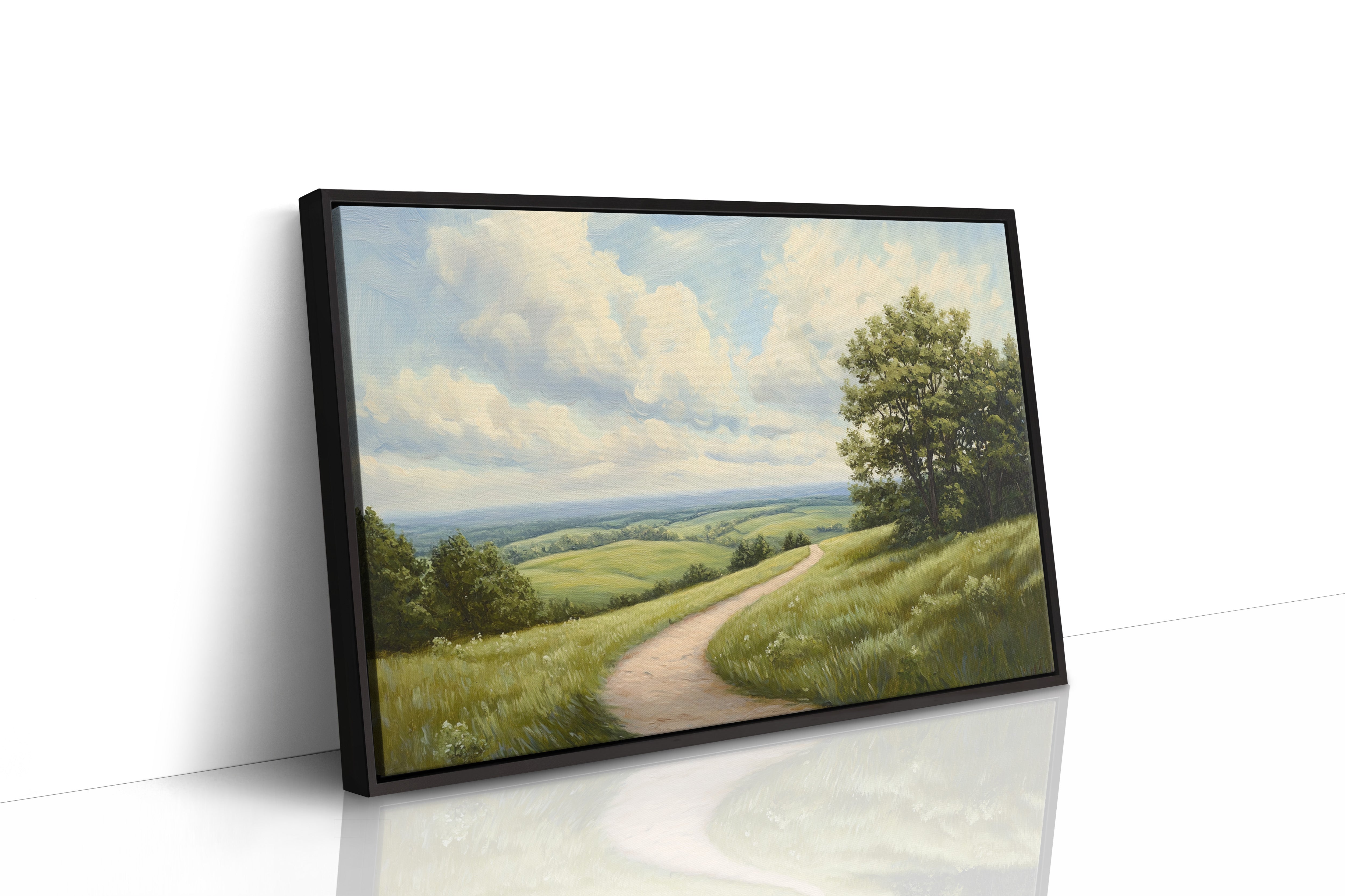 Summer Path Through Rolling Meadows