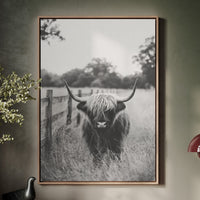 Highland Gaze in Black and White