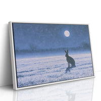 The Hare and the Full Moon