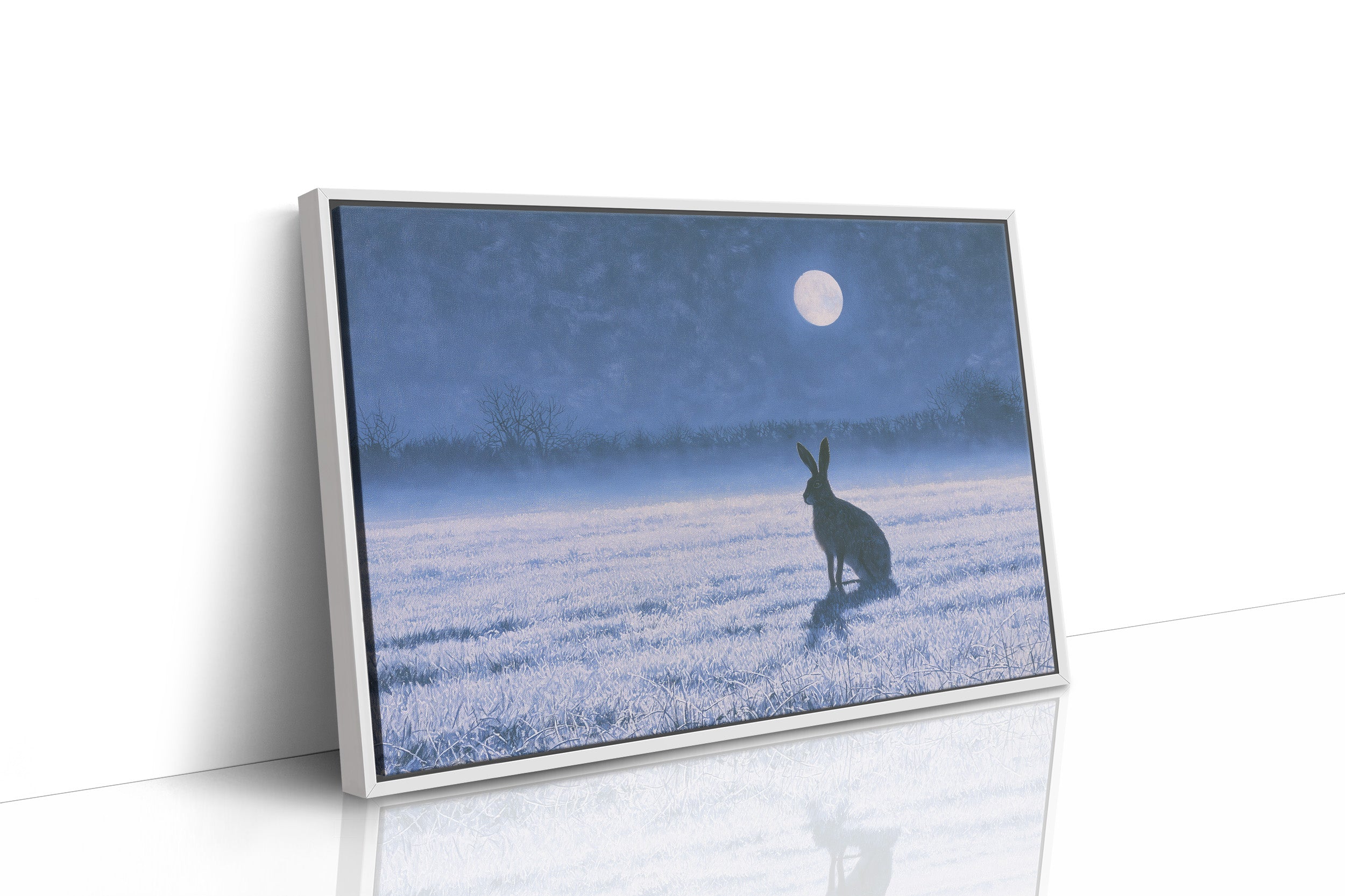 The Hare and the Full Moon