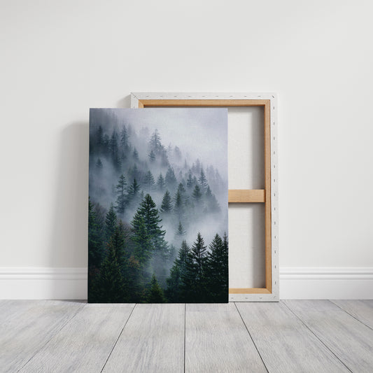 Veil of Mist Among Giants