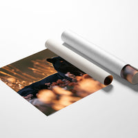 Golden Hour, Dark Horse